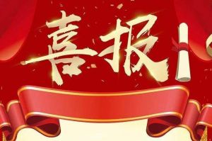 关于2022年度人力资源服务评选结果的通报，祝贺安博(中国)官方网站安博手机版登录入口